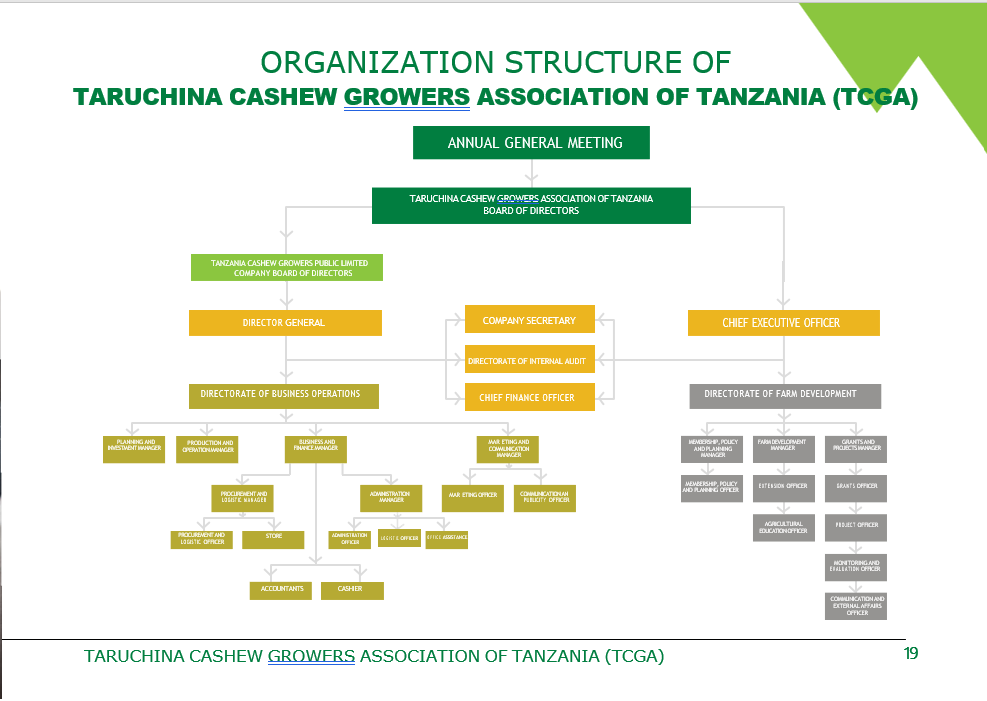 Organisation Structure class=